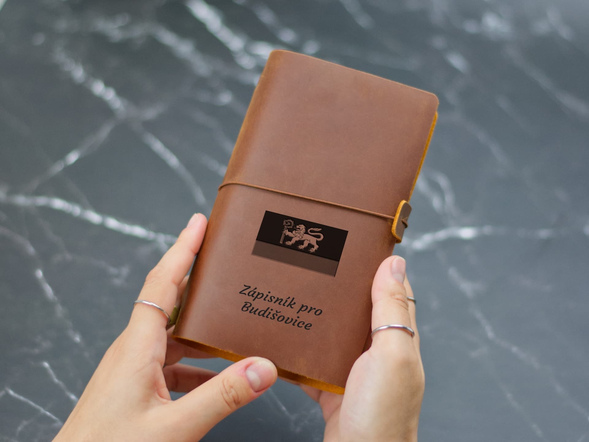 Úvodní strana deníku