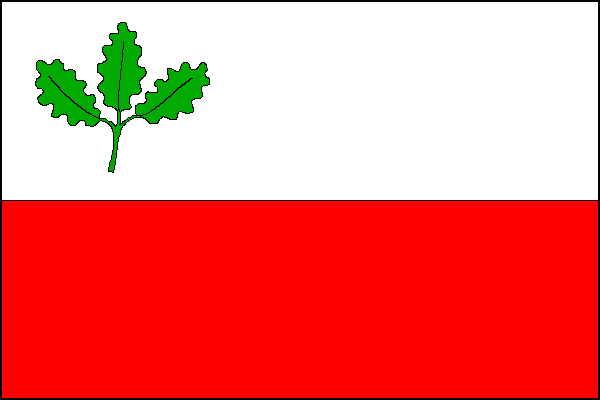 Vlajka Bučina