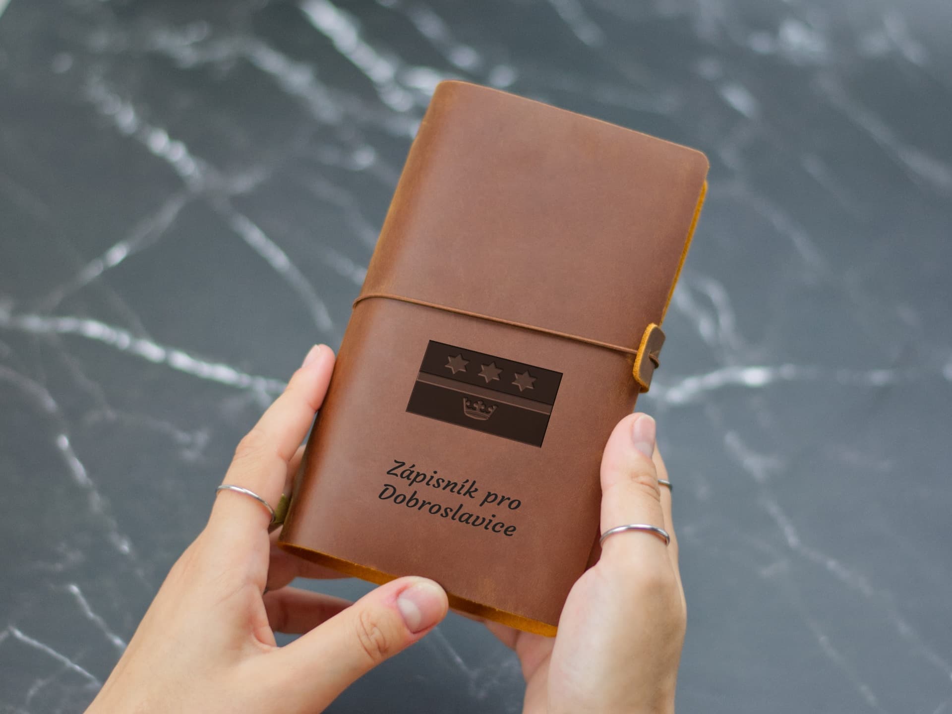 Úvodní strana deníku