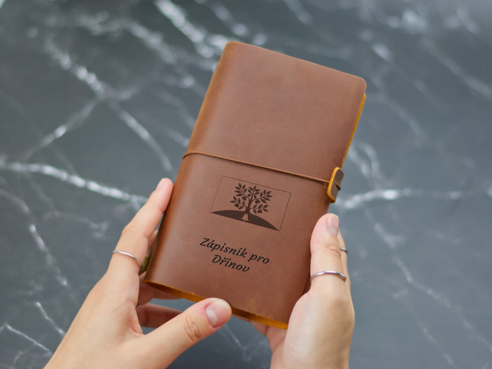 Úvodní strana deníku