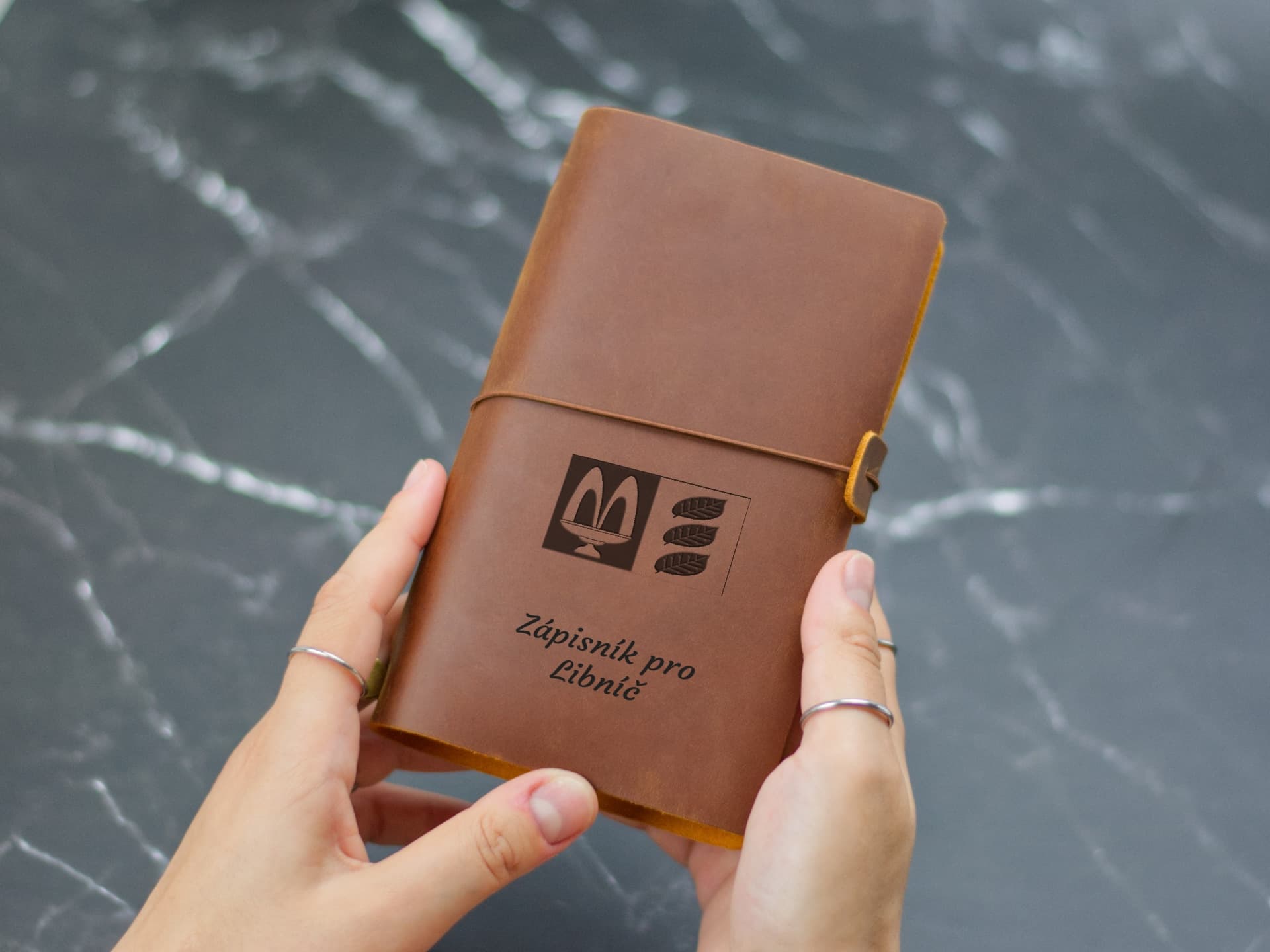 Úvodní strana deníku