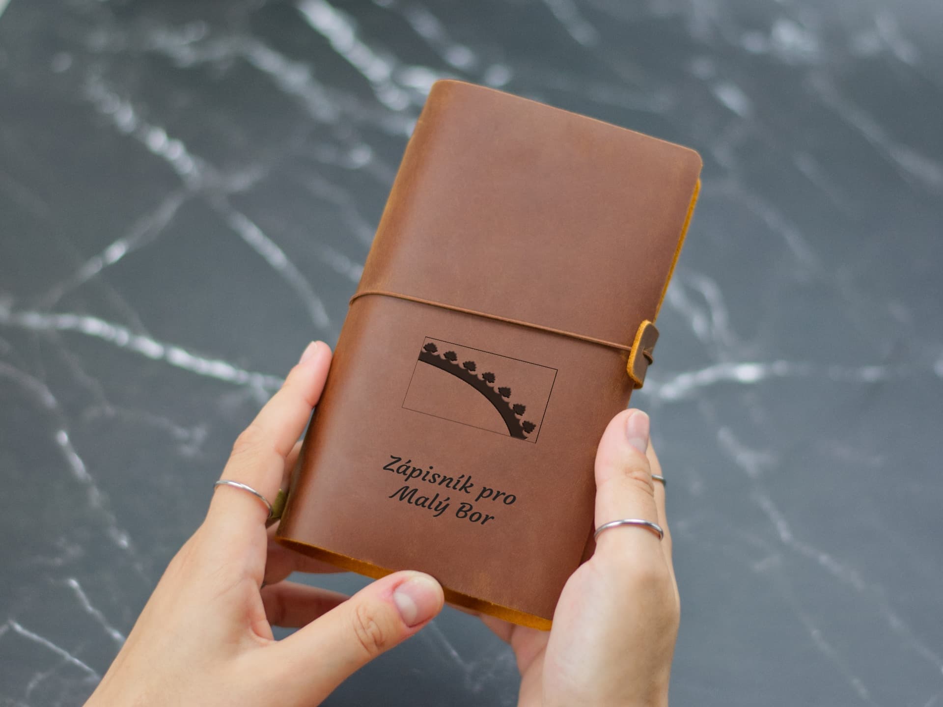 Úvodní strana deníku