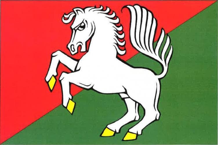 Vlajka Netunice