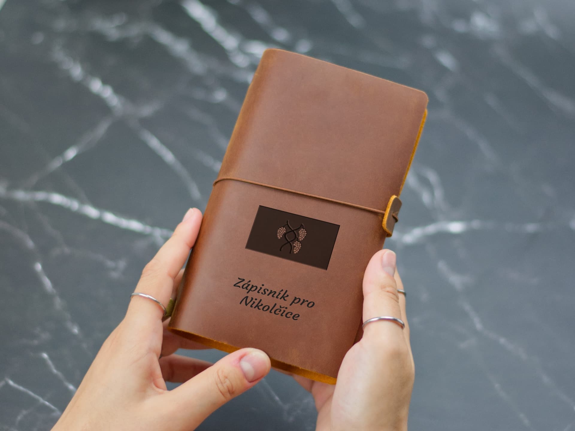 Úvodní strana deníku