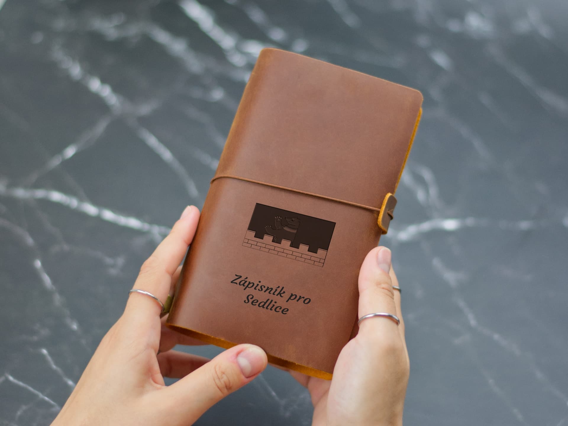 Úvodní strana deníku