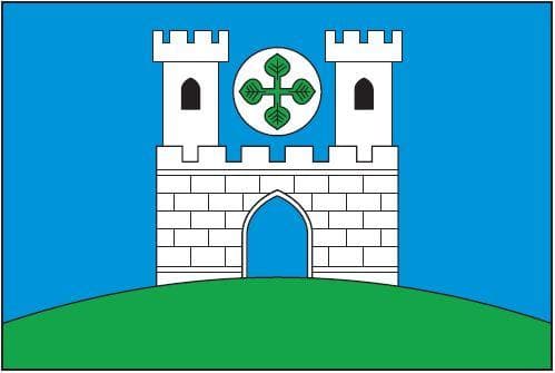 Vlajka Ryjice