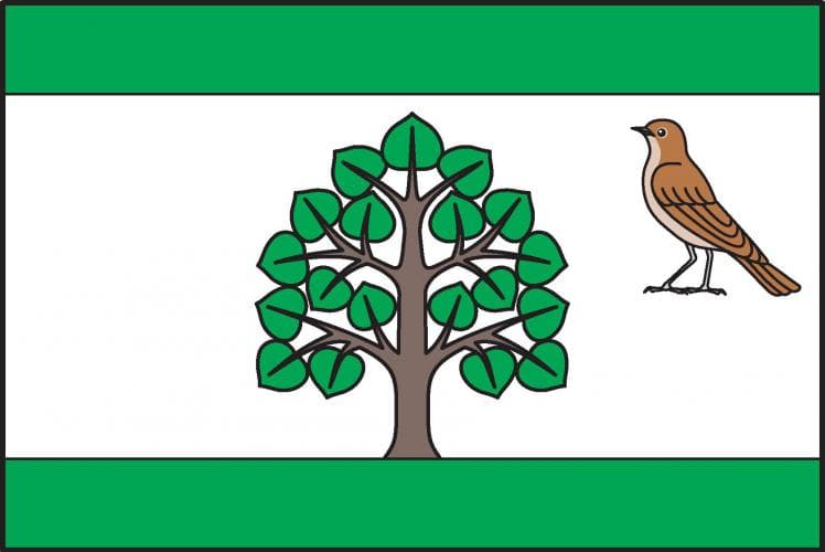 Vlajka Strenice
