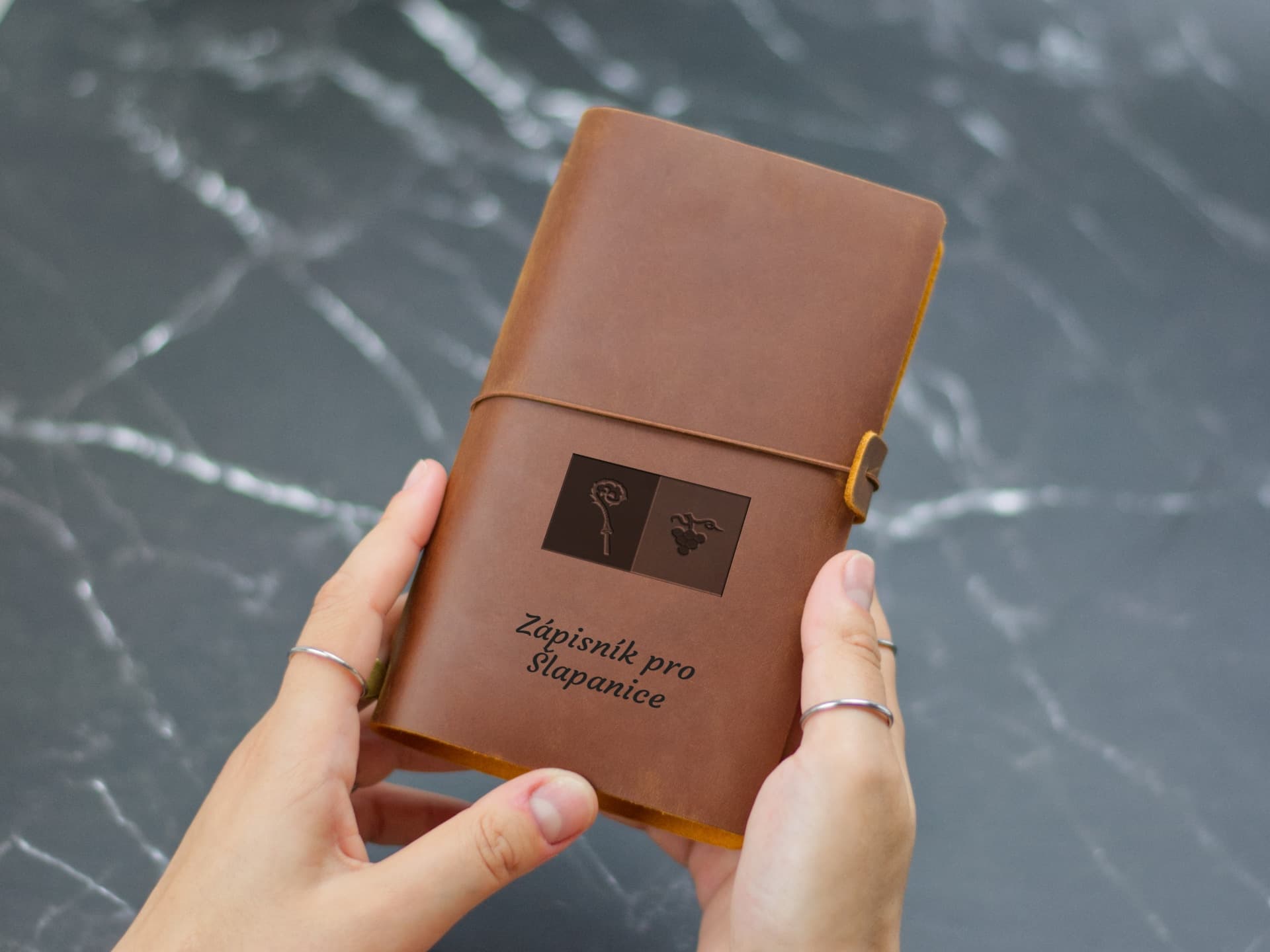 Úvodní strana deníku