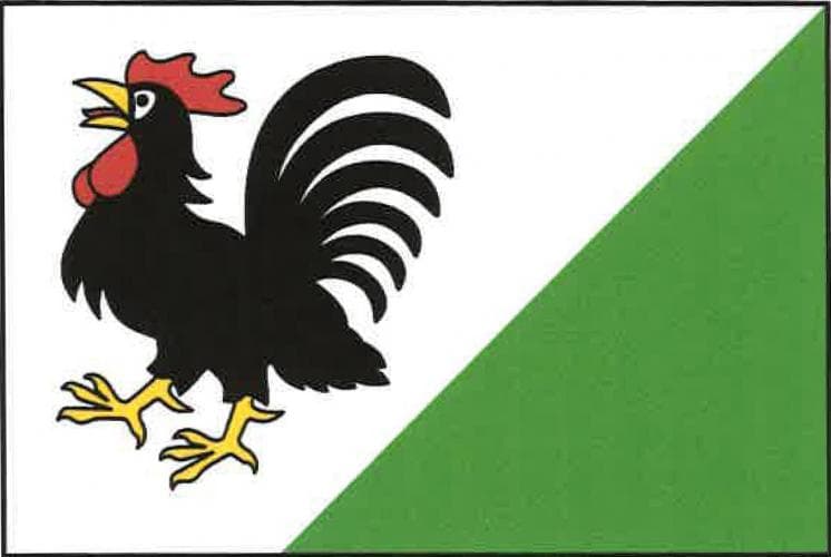 Vlajka Vyšehněvice