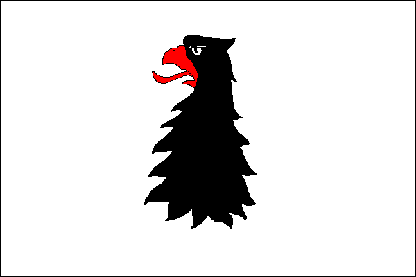 Vlajka Čechočovice