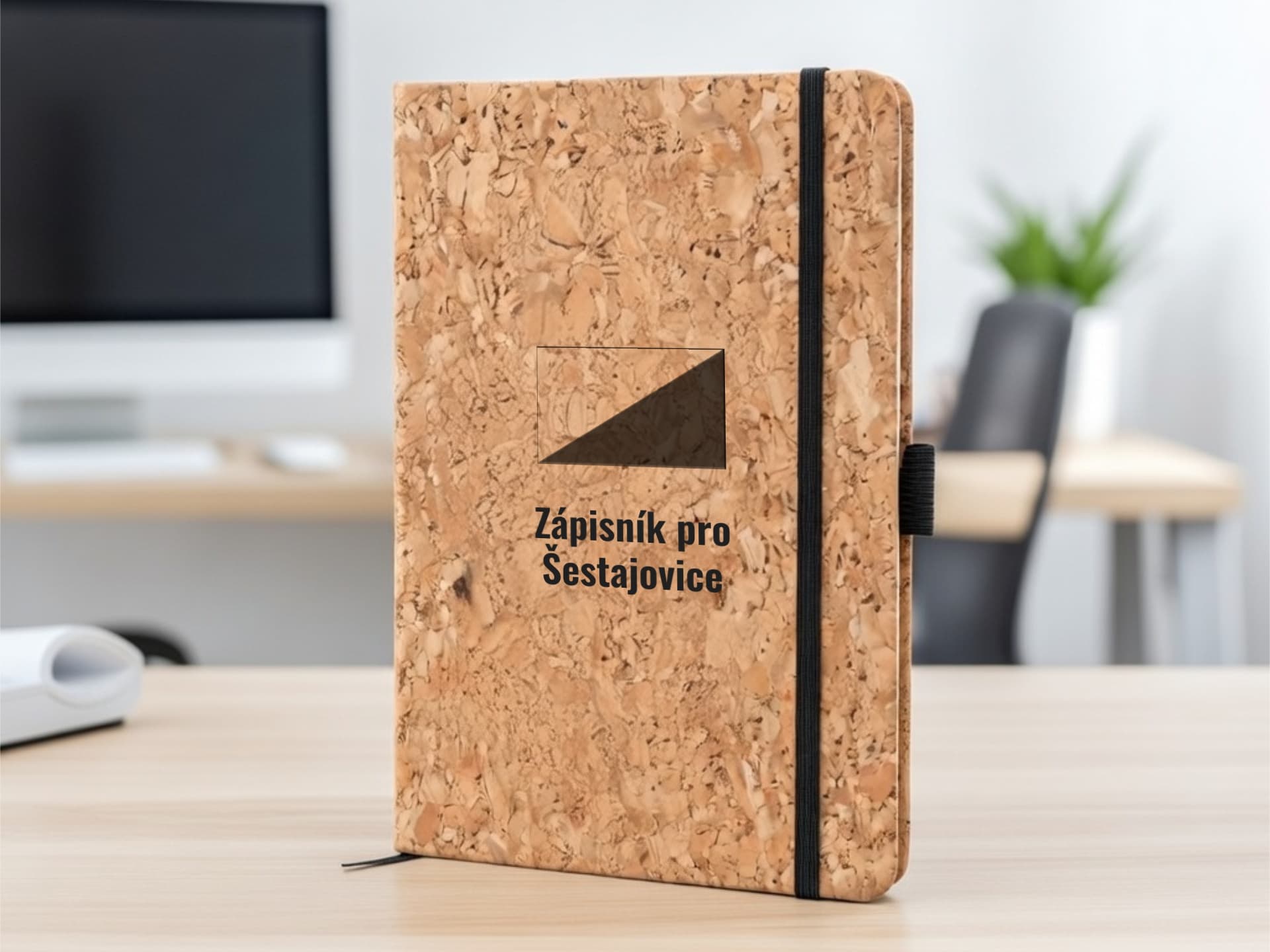 Úvodní strana deníku