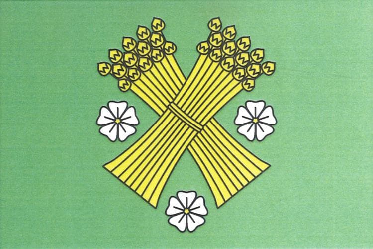 Vlajka Brzice