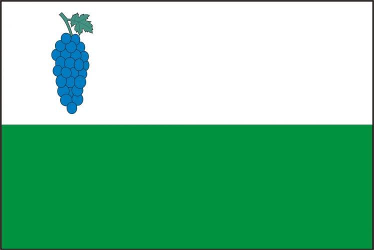 Vlajka Viničné Šumice