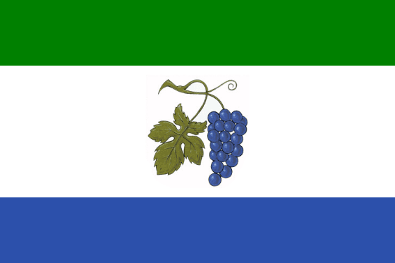 Vlajka Starý Hrozenkov