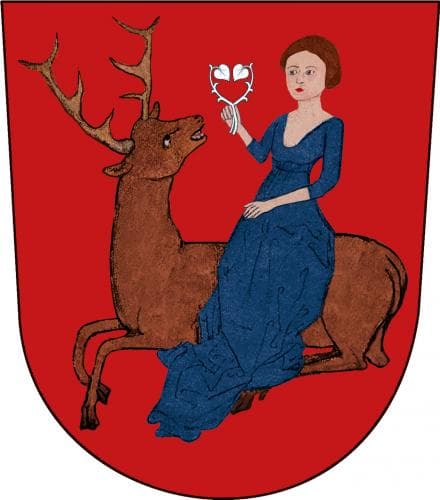 Vlajka Rychnov nad Kněžnou