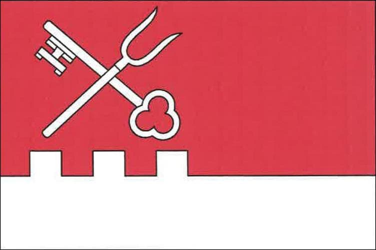 Vlajka Dolní Cerekev