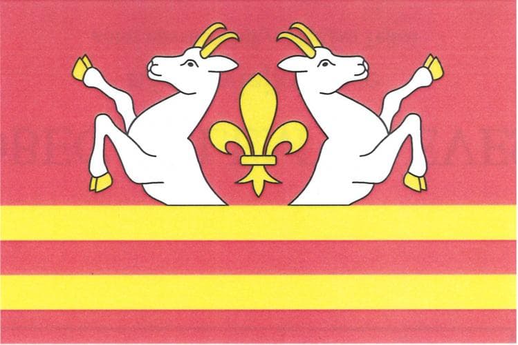 Vlajka Velemyšleves