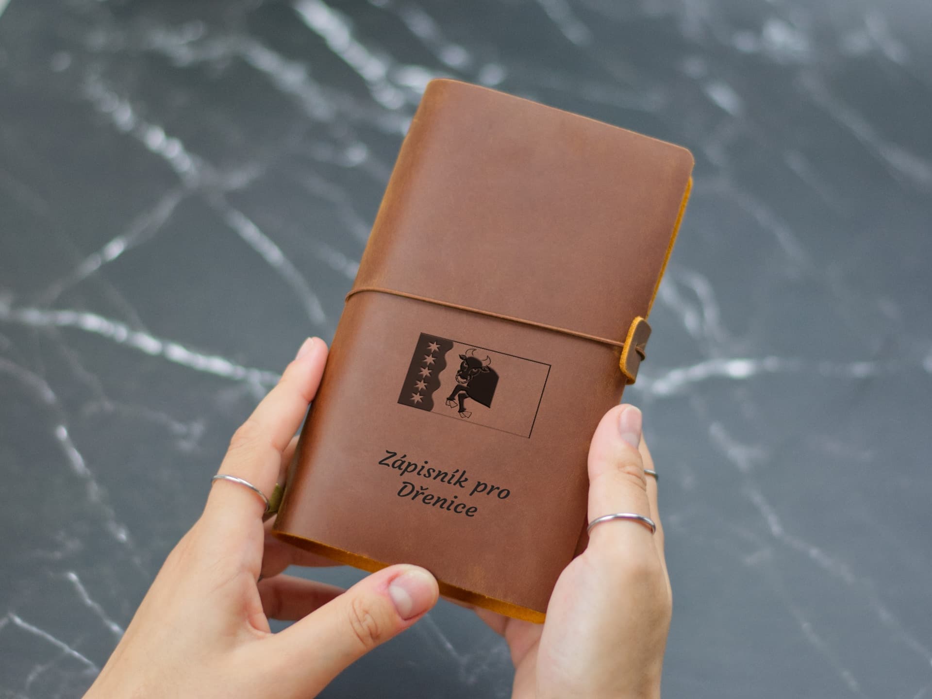 Úvodní strana deníku