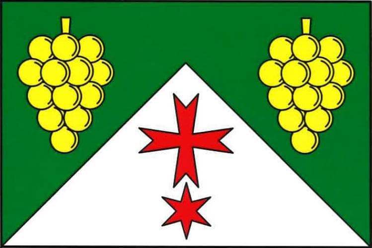 Vlajka Hodonice