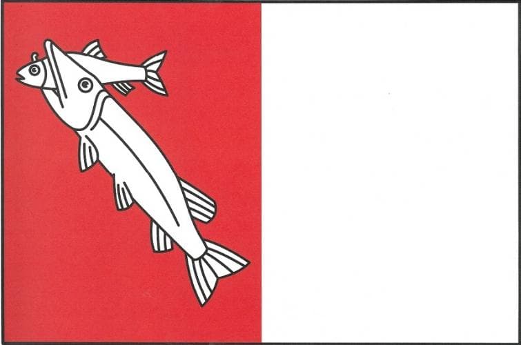 Vlajka Dolní Benešov