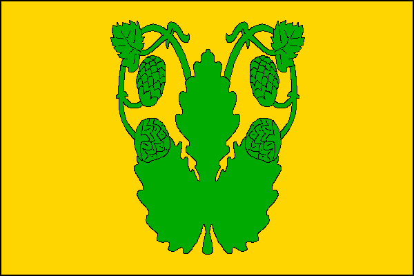 Vlajka Velká Chmelištná