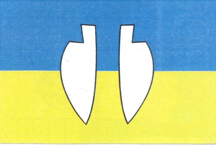 Vlajka Levínská Olešnice