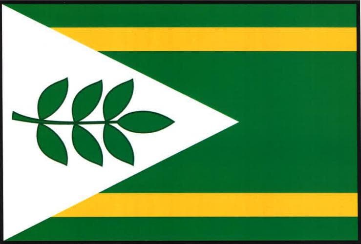 Vlajka Staré Jesenčany