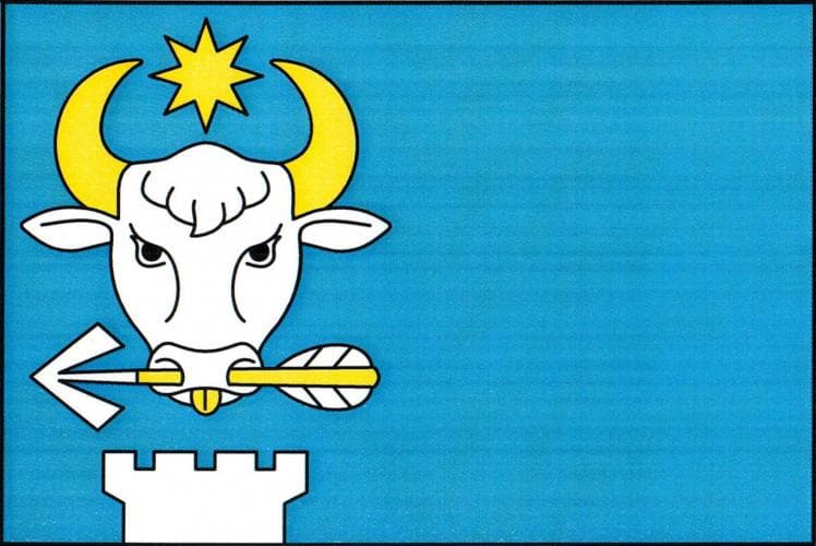 Vlajka Radovesnice I