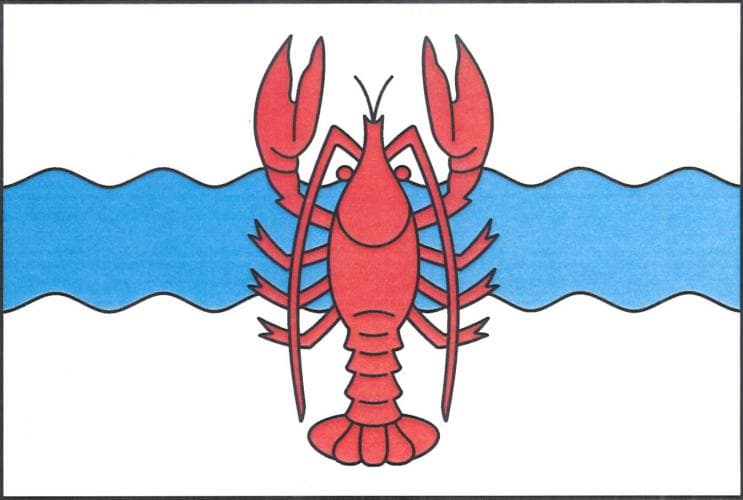 Vlajka Račice nad Trotinou