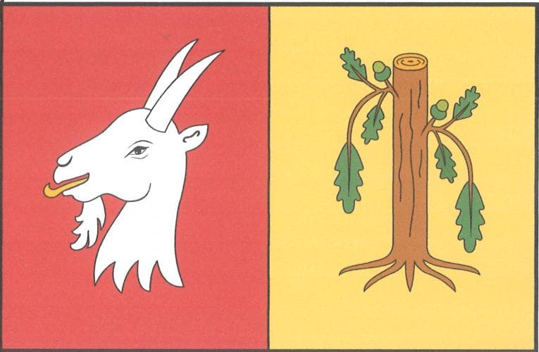 Vlajka Vyšehořovice