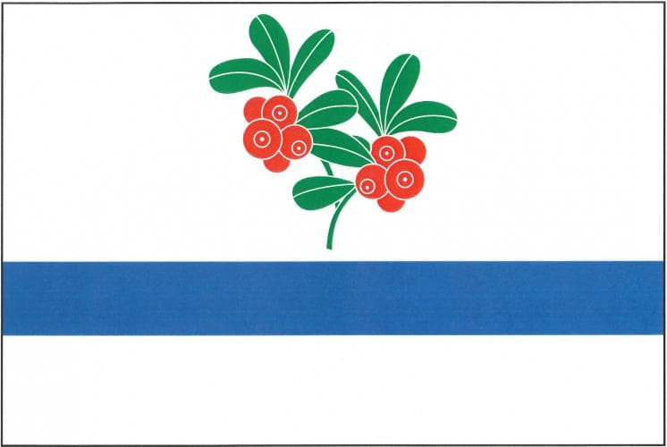 Vlajka Dolní Brusnice